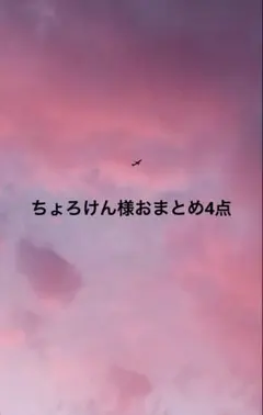 ちょろけん様 リクエスト 4点 まとめ商品