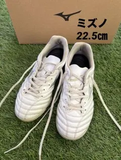 Item thumbnail for item aef784fc-7b4b-444b-8bca-2e623bb52e04