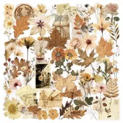 T182／コラージュ素材/海外/ステッカー/シール　花　PET 6