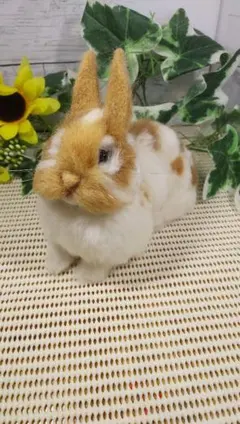 羊毛フェルト うさぎ ミニレッキス ハンドメイド 到着後24時間以内・様専用