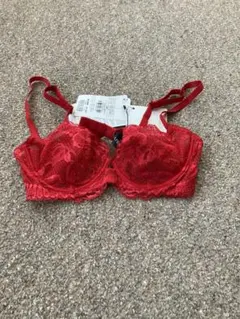 LA PEPLA ラペルラ　ブラジャー　1B