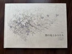 画集 野の花と小人たち 安野光雅 岩崎書店