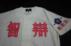 智辯和歌山　試合用ユニフォーム　SSK製　　智弁　甲子園　智弁和歌山 智辯和歌山 試合用ユニフォーム SSK製 智弁 甲子園 智弁和歌山 - メルカリ