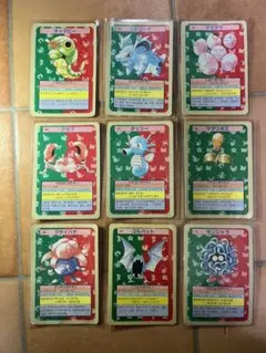 ロ*）様 トップサン　ポケモンカード　裏青・緑