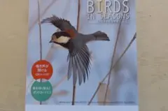 日本野鳥の会2026カレンダーBIRDS IN SEASONS定価1320円新品