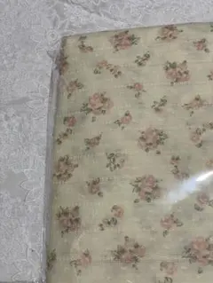 Item thumbnail for item 6bbdd24f-5a27-4757-ae00-0e01552a43f7