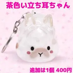 ◆即購入OK◆②うさぎの毛玉入れ キーホルダー ꪔ̤̥ウサギ 毛入れ