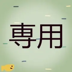 ぺい様の専用商品