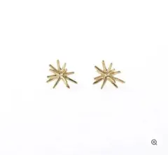 LKジュエリー Babyスターピアス 両耳 WG LKサロン LKジュエリー Babyスターピアス 両耳 WG LKサロン - メルカリ