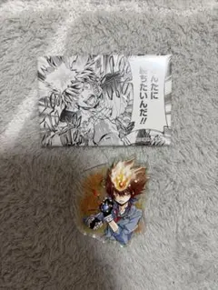 即日発送　天野明展 京都 キャラバッジコレクション 沢田綱吉 即日発送 天野明展 京都 キャラバッジコレクション 沢田綱吉 - メルカリ