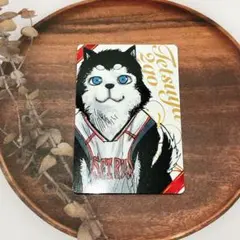 黒子のバスケ　JUMPSHOP バレンタインフェア テツヤ2号