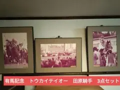 Item thumbnail for item 86f856aa-0247-4331-a0e6-dc5e192a3a2c