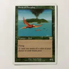 2026年最新】極楽鳥 mtgの人気アイテム - メルカリ
