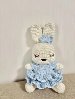 【断捨離に協力お願いします( ߹꒳߹ )様専用】あみぐるみ / 着せ替え付き