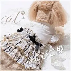 【犬服】 フリルワンピース ドッグウェア ボーダー マルチストライプ リボン