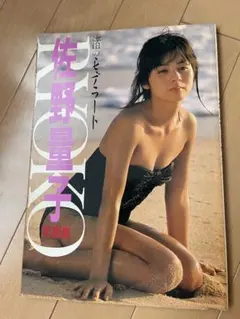 佐野量子 写真集 渚のデ・ラート