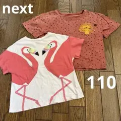 next アニマルカットソー　２枚セット　110〜