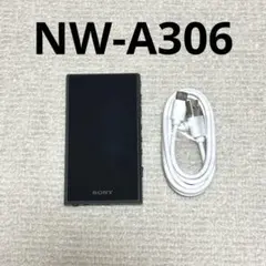 ウォークマン A300本体 純正ケース 256GBmicroSDカード セット - メルカリ