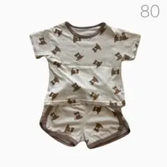 【80】クマ柄 Tシャツ パンツ セットアップ