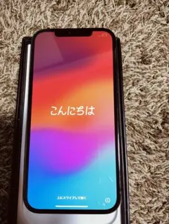 Apple iPhone 12 Promax 256G