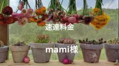 速達料金　mami様専用