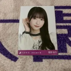 乃木坂46 生写真　菅原咲月　スペシャル衣装40 乃木コレ　ヨリ