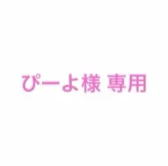 ぴーよ様 リクエスト 2点 まとめ商品