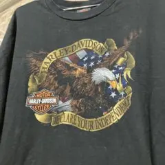 【厳選】Harley-Davidson ビンテージ レア イーグルプリントT
