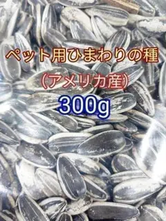 アメリカ産 ひまわりの種300g 小動物 インコ ハムスターのサムネイル