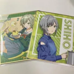 プロセカ　日野森志歩　ミニ色紙