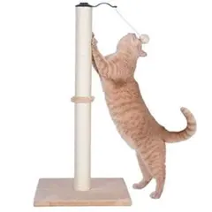 Item thumbnail for item 9841176b-1ada-4924-872b-0b3441d2b8c1