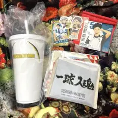 ハイキュー　スシロー　極楽湯　ジロリ　まとめ売り