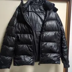 Item thumbnail for item 8b58d133-9f9d-41a1-8201-28546b3ba477