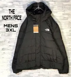 【新品未使用】ノースフェイス　ダウンジャケット3XL BALTIC 海外限定