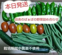 내일 저녁 수확 시골 아기 야채 세트 Nekoposu 출하