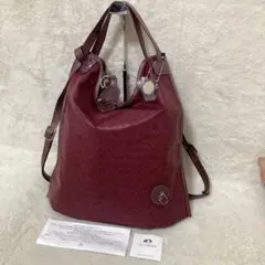 極美品 ペレボルサ 3way リュック ショルダー アライブ Aliveのサムネイル