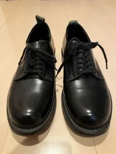 Item thumbnail for item d5625f98-19f7-432c-8aec-ff26decf7e16