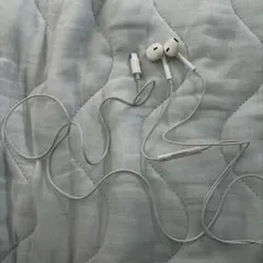 iPhone有線イヤホン ライトニング