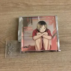 ハイキュー　ファンパーク　ショウワノート　おみくじ　ブロッキー　孤爪研磨