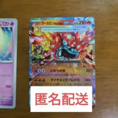オーガポンかまどのめんex RR ポケモンカード