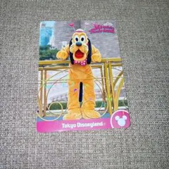 新品 プルート コレクションカード　ミニーのファンダーランド　ディズニー