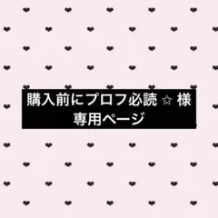 2026年最新】プロフ必読様専用の人気アイテム - メルカリ