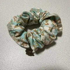 嵐 シュシュ BLAST in Hawaii