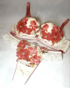 最終SALE ワコール サルート salute リボンブラ 上下セット