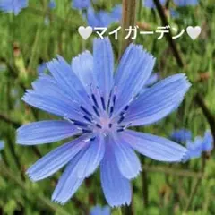 ✴︎Happy✴︎ ※在庫確認プロフ必読様 リクエスト 2点 まとめ商品