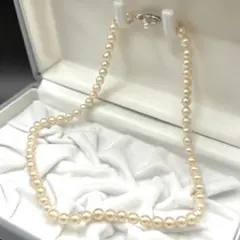 Item thumbnail for item 1809619c-fa02-4c8b-91b0-5cf22fe445ae