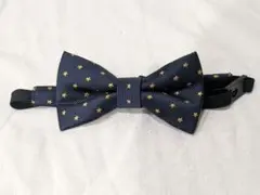 Item thumbnail for item f829ddb1-278a-4405-84ab-b91bfac2c9a2