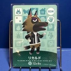 og.ll様 リクエスト 5点 まとめ商品