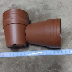 茶色　プラ鉢　2.5号鉢 9個セット　植物のサムネイル