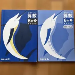 四谷大塚 予習シリーズ 算数 6年 下 有名校対策 解答解説付 - メルカリ